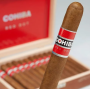 Cohiba Red Dot Robusto