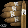 Oliva Connecticut Reserve Torpedo