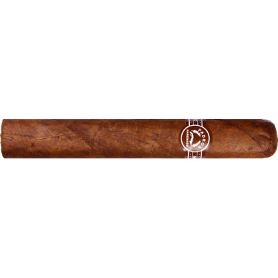 Padron 2000 Maduro